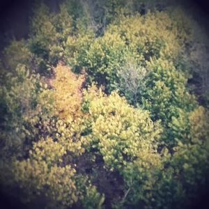 Meet your Posher, Shon